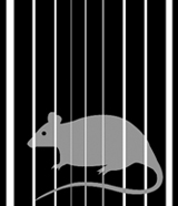 The Mousetrap - 2